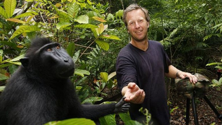 Macaco con el Fotografo David Slater